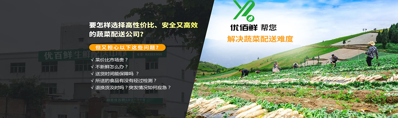 要怎樣選擇高性價比、安全又高效的蔬菜配送公司？
