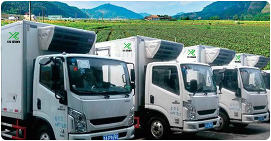 優佰鮮車隊.jpg