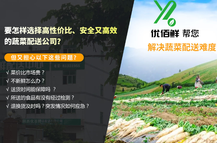 西安專業蔬菜配送公司應該具備哪些條件？
