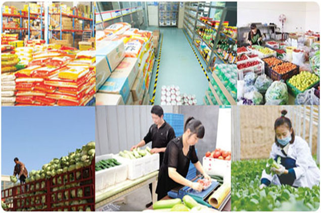 西安食材配送公司—優(yōu)百鮮農(nóng)產(chǎn)品配送公司再次傳來好消息！