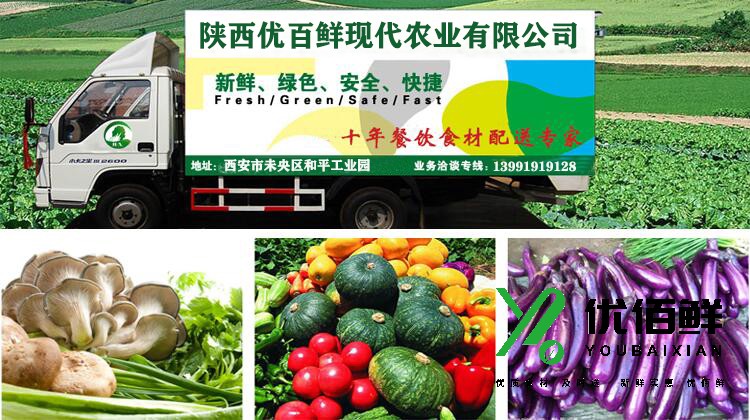 蔬菜配送方案 - 農副產品食材配送方案