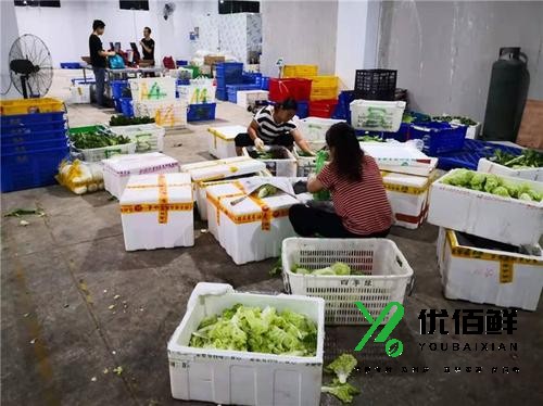 西安食材配送的痛點，解決方法是什么？