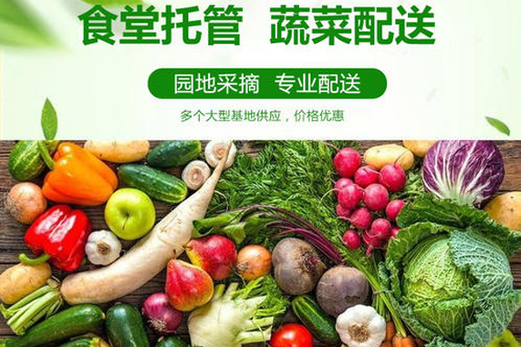 食材配送的痛點，解決方法是什么？