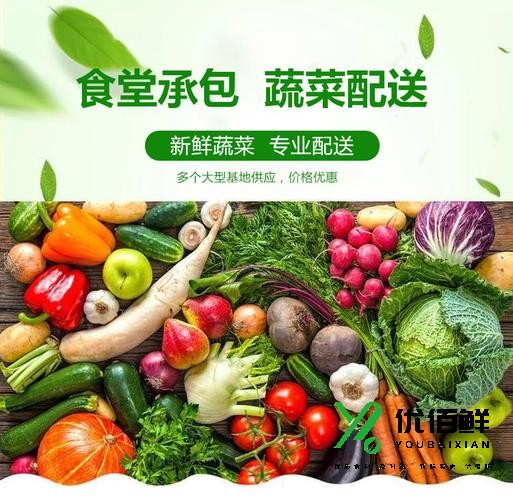 如何規范蔬菜配送質量？優百鮮告訴你電話1779239619