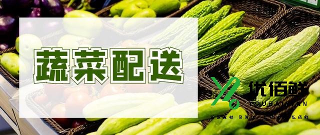 西安比較大型的蔬菜配送公司有哪些？實力怎么樣？